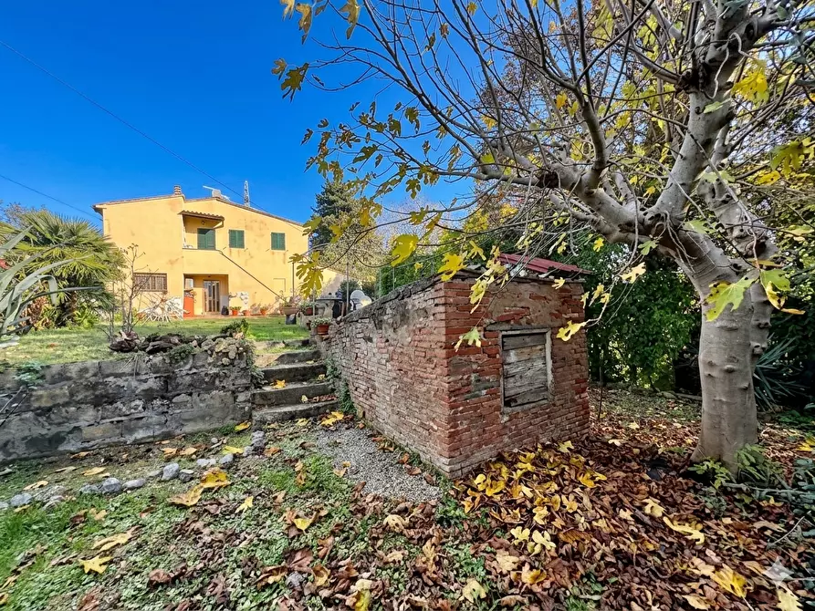 Immagine 5 di Terratetto in vendita  a Casciana Terme Lari