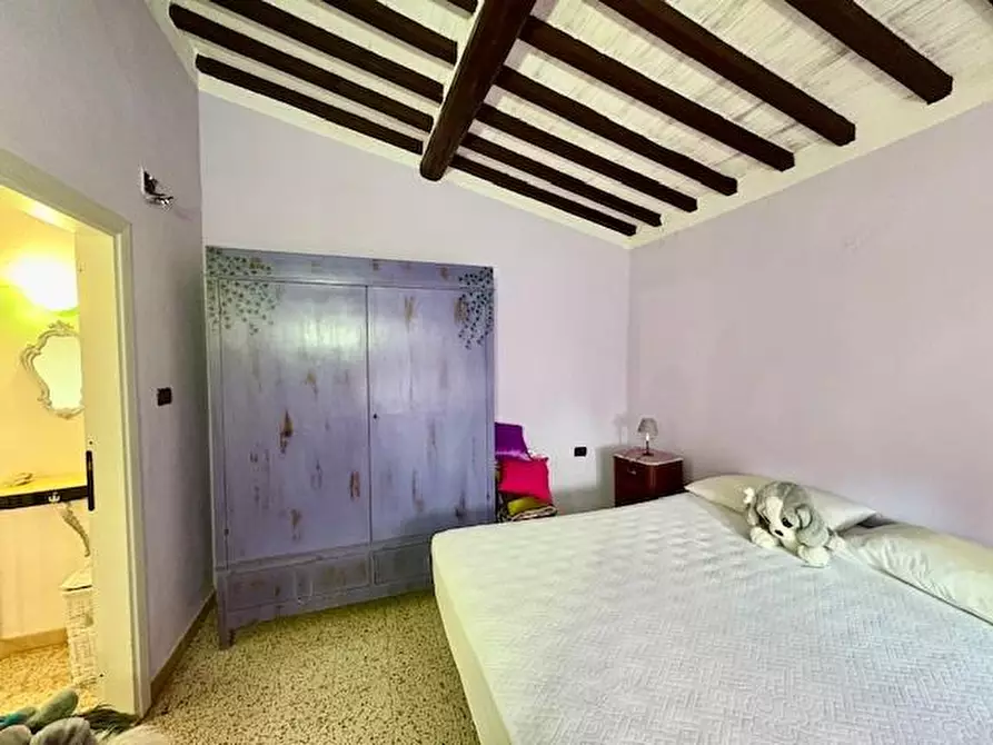 Immagine 23 di Terratetto in vendita  a Casciana Terme Lari