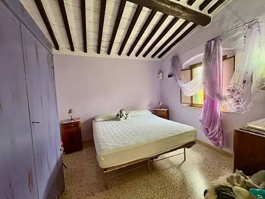 Immagine 25 di Terratetto in vendita  a Casciana Terme Lari