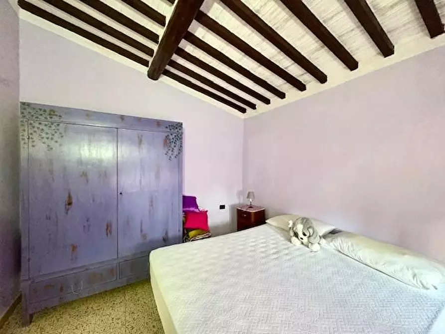 Immagine 22 di Terratetto in vendita  a Casciana Terme Lari