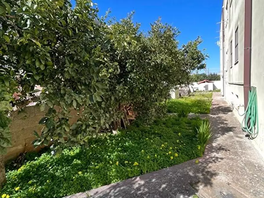 Immagine 19 di Appartamento in vendita  a Alessano