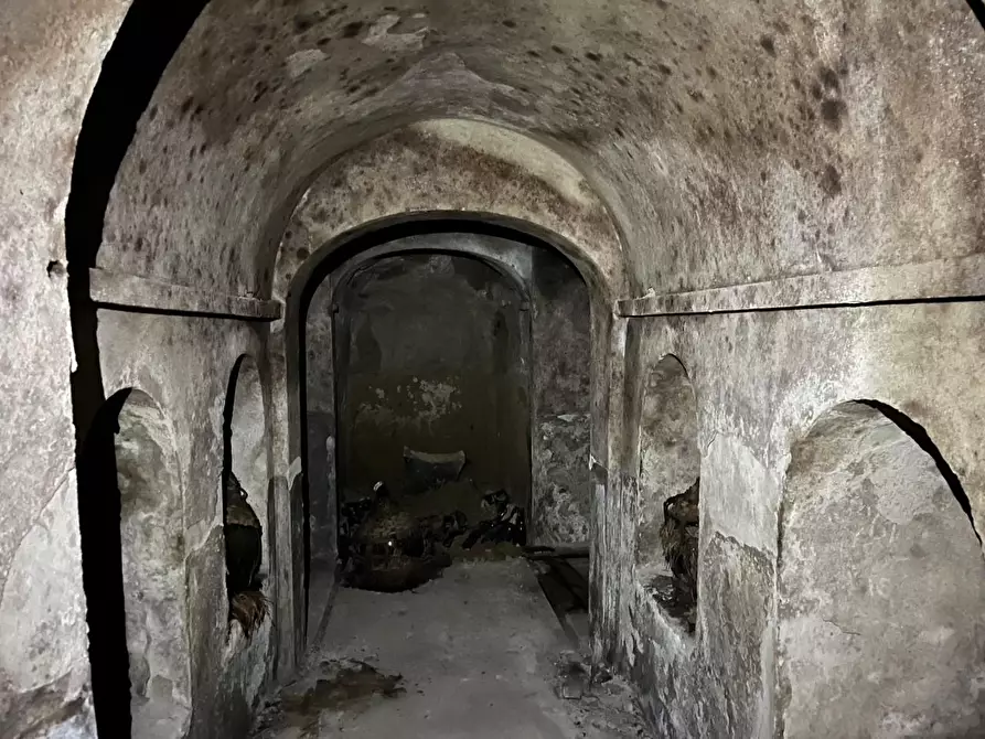 Immagine 52 di Palazzo in vendita  a Palaia