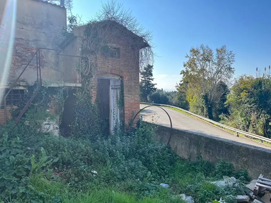 Immagine 33 di Palazzo in vendita  a Palaia