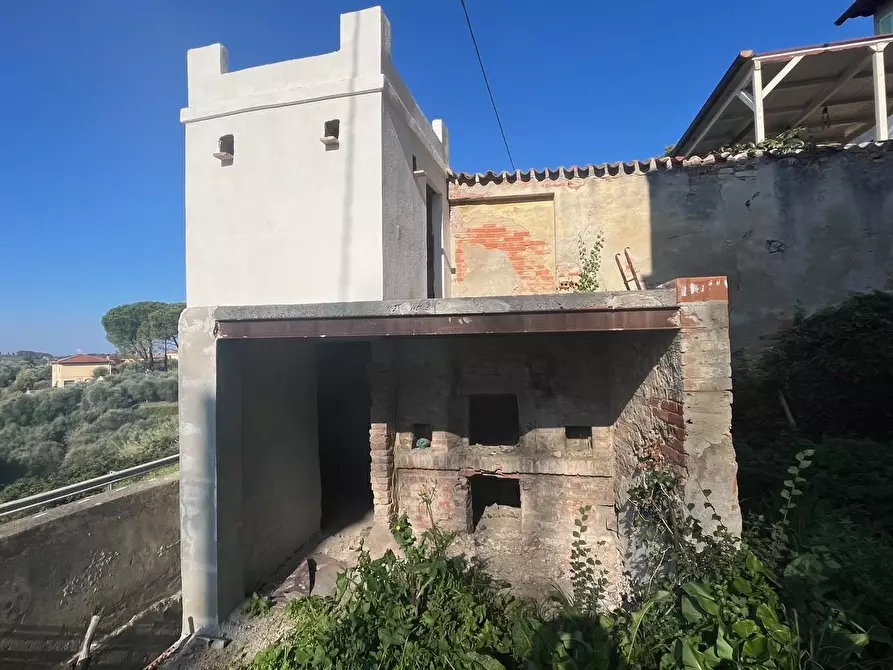 Immagine 4 di Palazzo in vendita  a Palaia