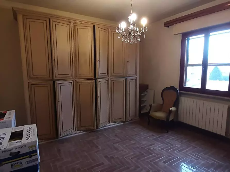 Immagine 17 di Appartamento in vendita  a Rosignano Marittimo