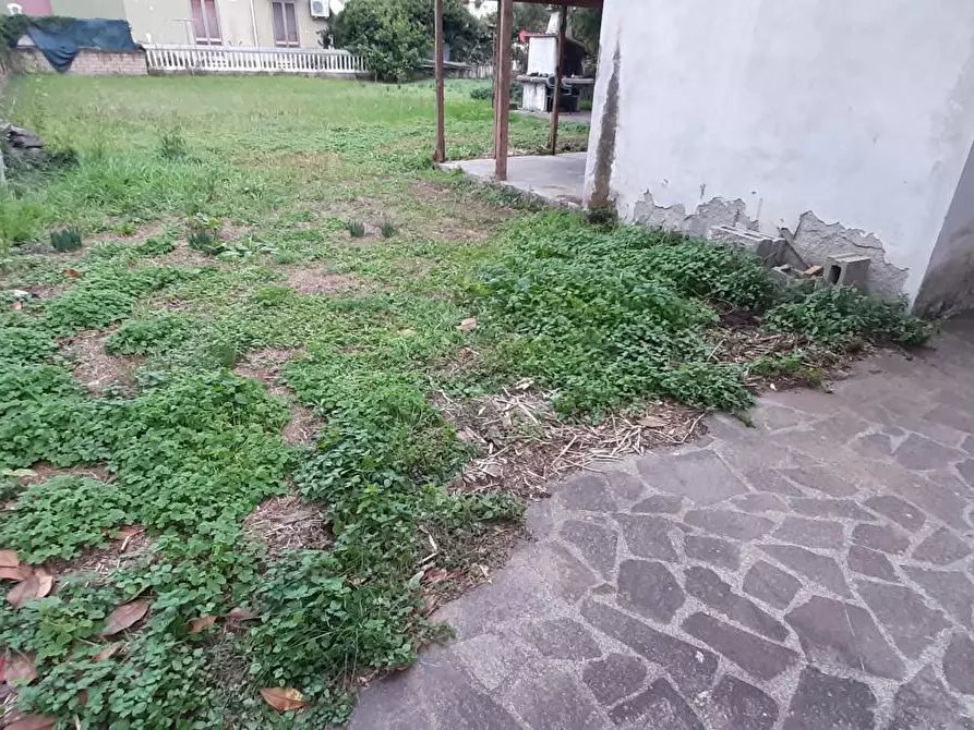 Immagine 54 di Appartamento in vendita  a Rosignano Marittimo