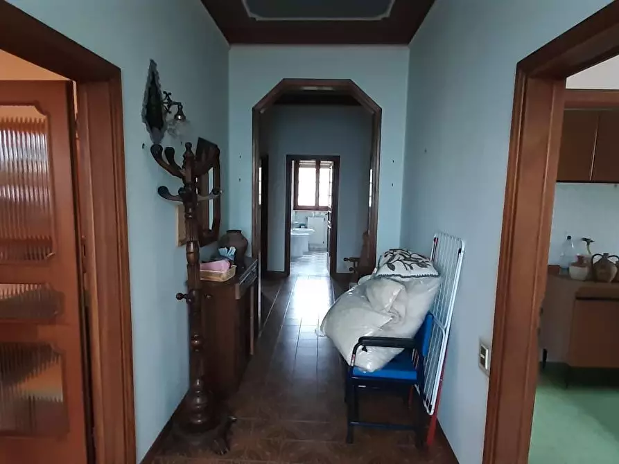 Immagine 13 di Appartamento in vendita  a Rosignano Marittimo