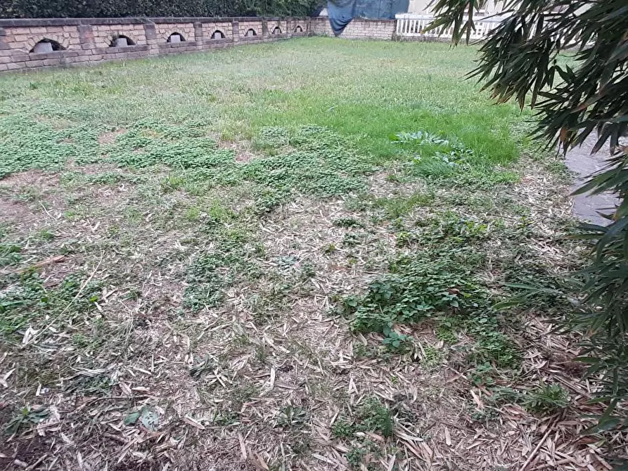 Immagine 33 di Appartamento in vendita  a Rosignano Marittimo