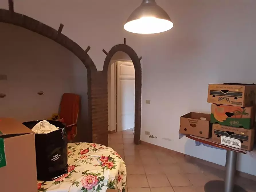 Immagine 37 di Appartamento in vendita  a Rosignano Marittimo