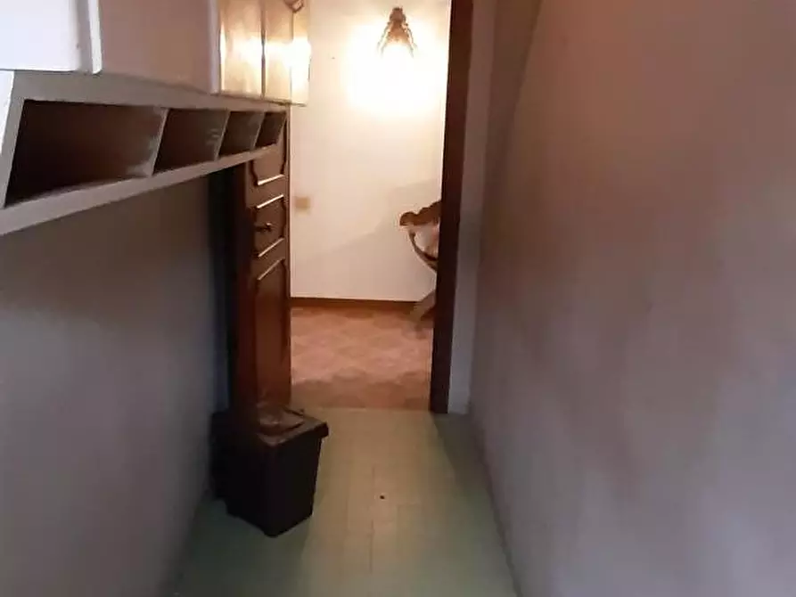 Immagine 31 di Appartamento in vendita  a Rosignano Marittimo