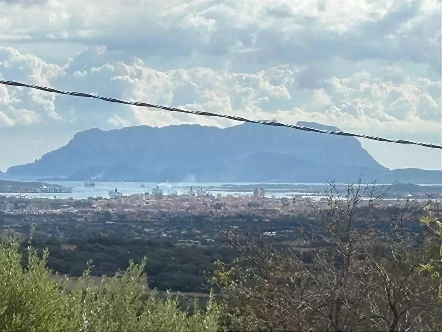 Immagine 5 di Villa in vendita  a Olbia