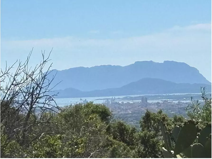 Immagine 33 di Villa in vendita  a Olbia