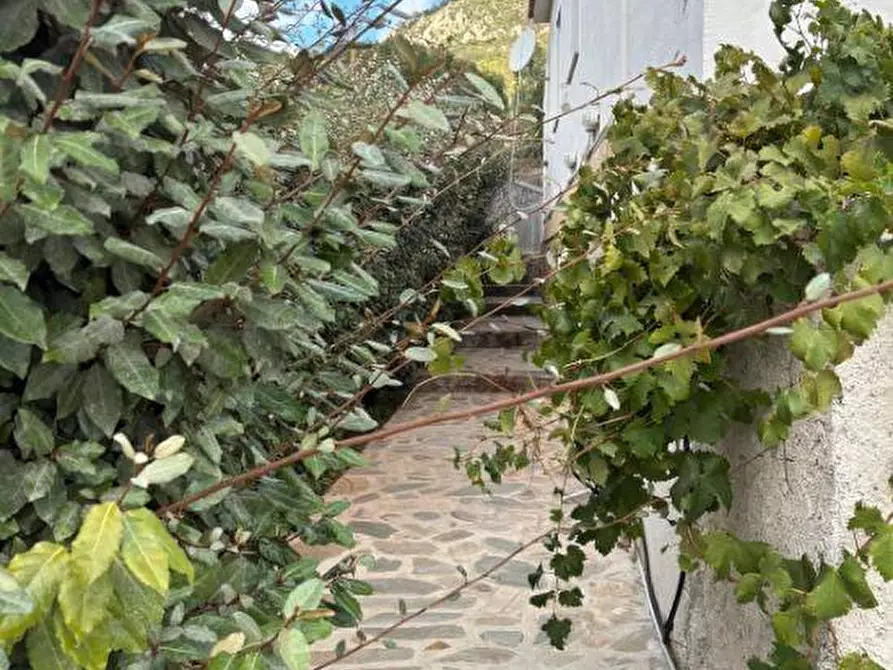 Immagine 2 di Villa in vendita  a Olbia