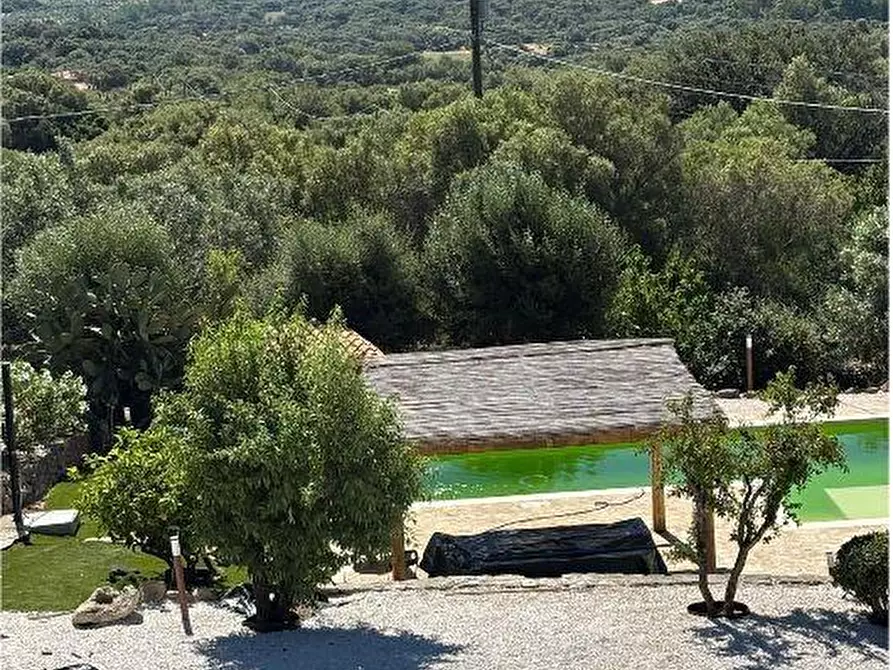 Immagine 36 di Villa in vendita  a Olbia