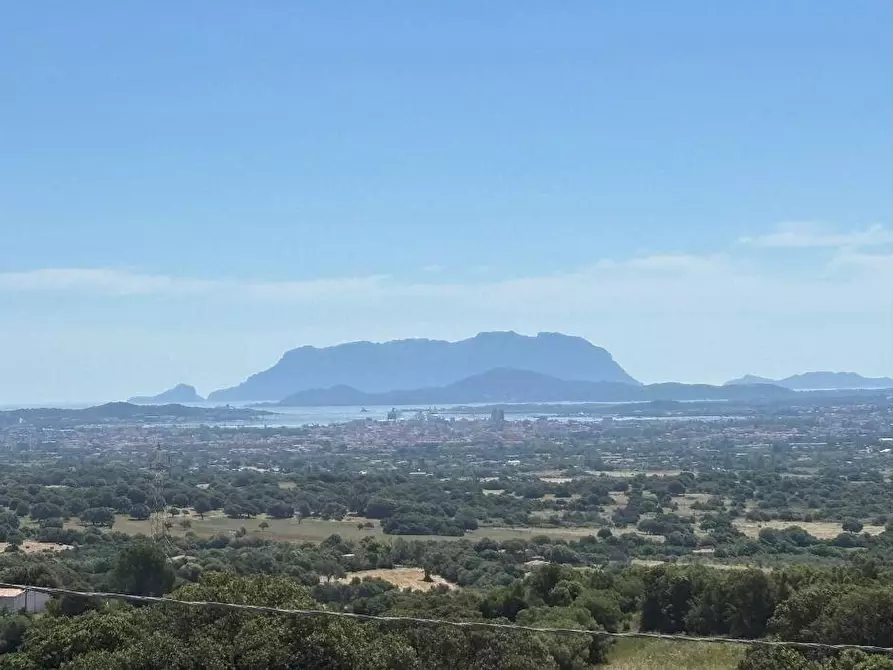 Immagine 35 di Villa in vendita  a Olbia
