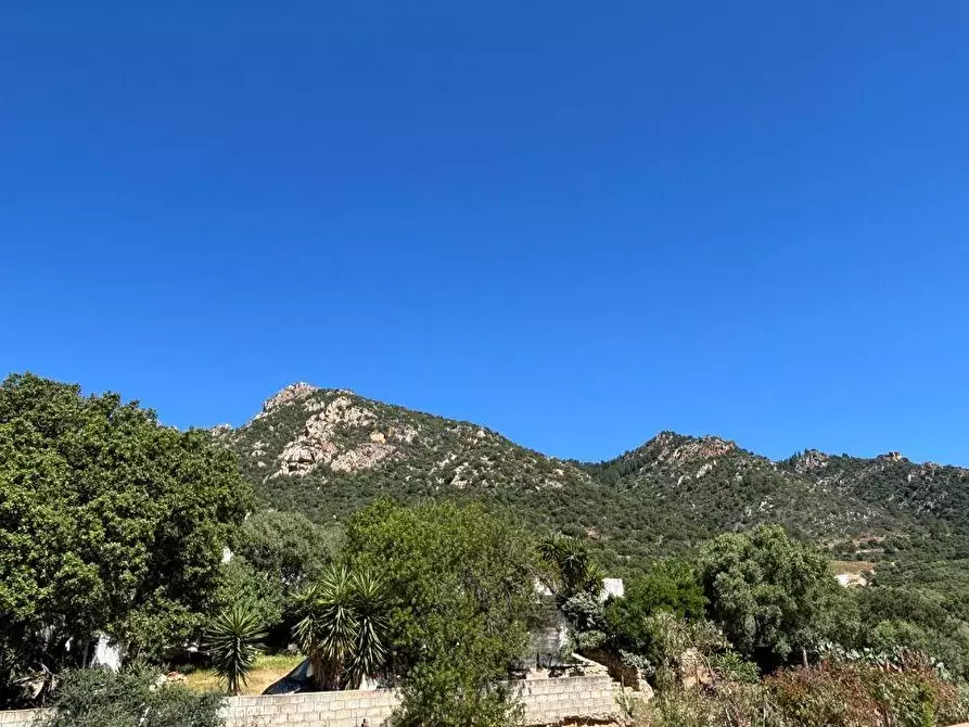 Immagine 34 di Villa in vendita  a Olbia