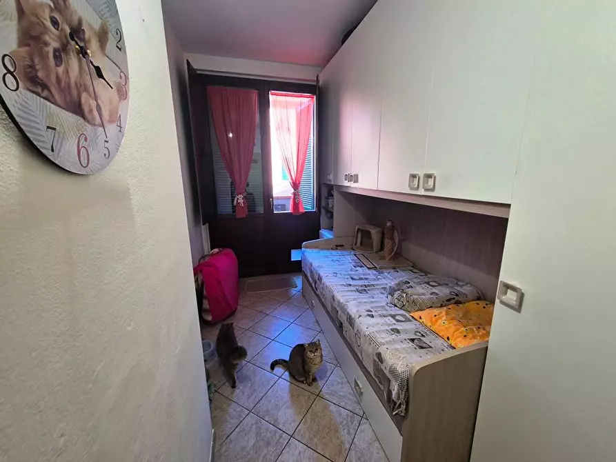 Immagine 11 di Appartamento in vendita  a Sovicille