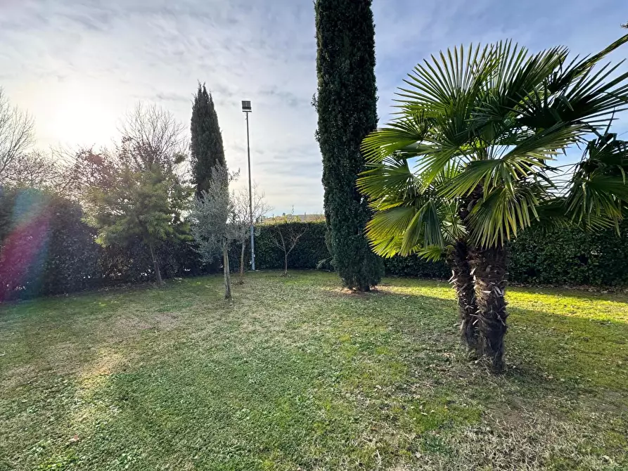 Immagine 6 di Villa in vendita  a Vinci