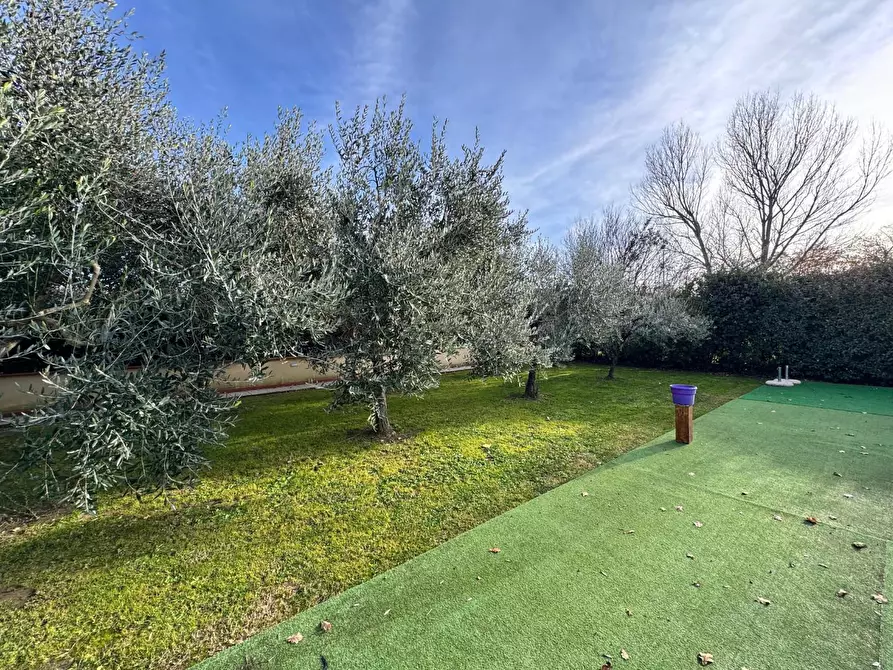 Immagine 3 di Villa in vendita  a Vinci