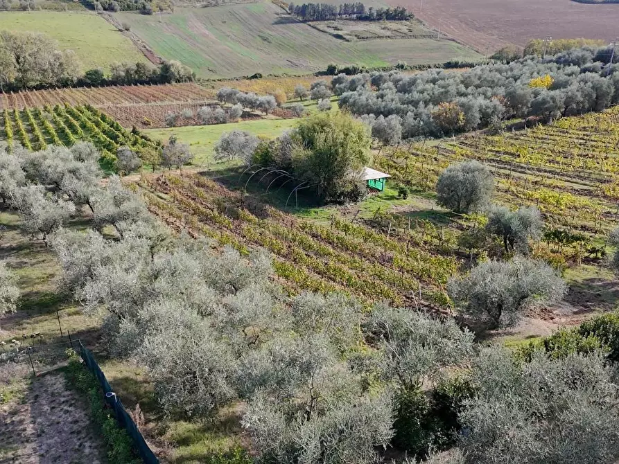 Immagine 6 di Terratetto in vendita  a Montelupo Fiorentino