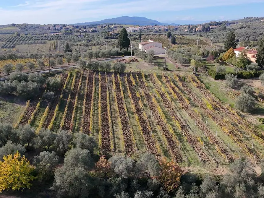 Immagine 4 di Terratetto in vendita  a Montelupo Fiorentino