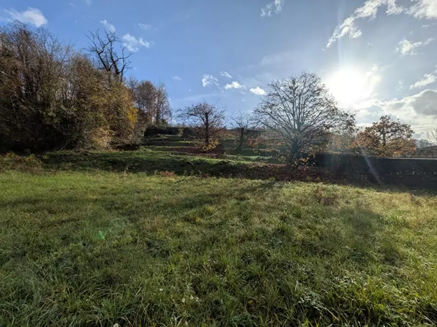 Immagine 2 di Terreno residenziale in vendita  a Coreglia Antelminelli