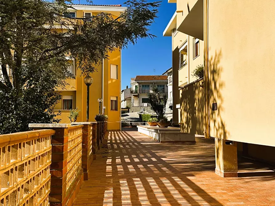 Immagine 26 di Appartamento in vendita  a Rosignano Marittimo