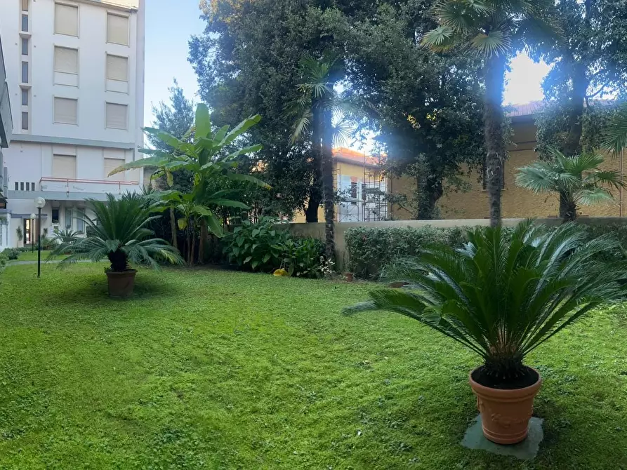 Immagine 5 di Appartamento in vendita  a Viareggio