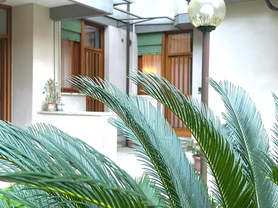 Immagine 2 di Appartamento in vendita  a Viareggio