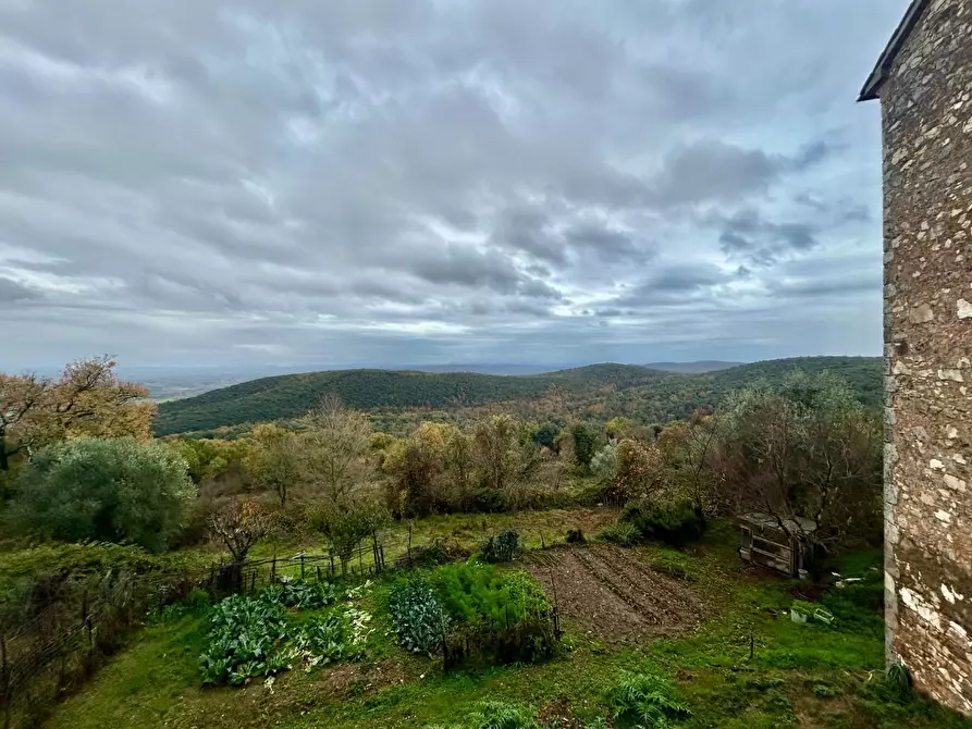 Immagine 6 di Appartamento in vendita  a Sovicille