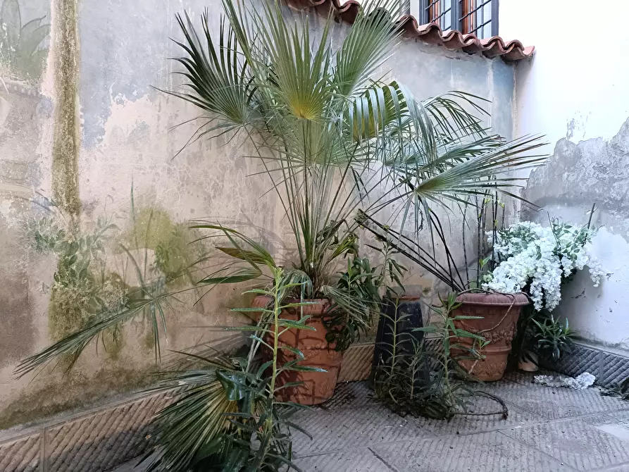 Immagine 17 di Locale commerciale in vendita  a Empoli