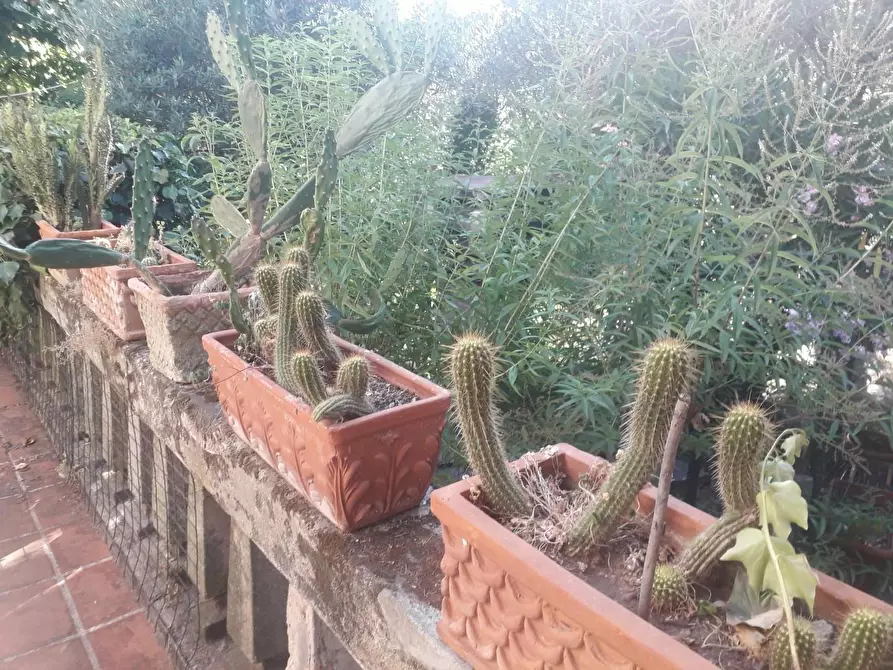 Immagine 25 di Villa in vendita  a Lastra A Signa