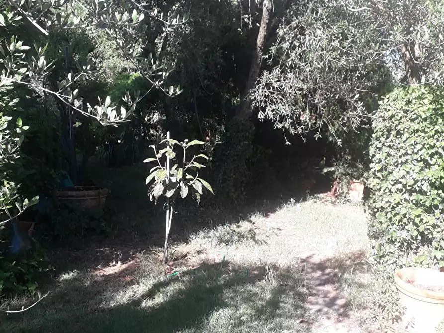 Immagine 24 di Villa in vendita  a Lastra A Signa