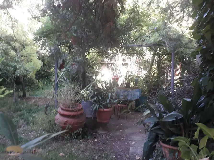 Immagine 23 di Villa in vendita  a Lastra A Signa