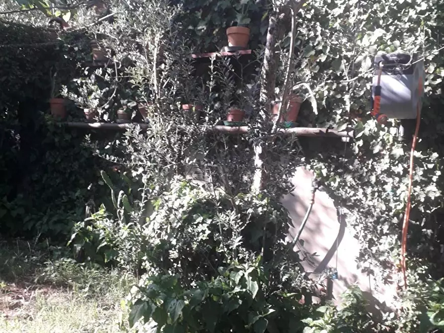 Immagine 22 di Villa in vendita  a Lastra A Signa