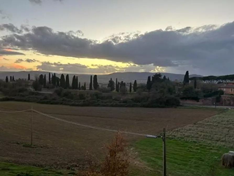 Immagine 9 di Appartamento in vendita  a Sovicille