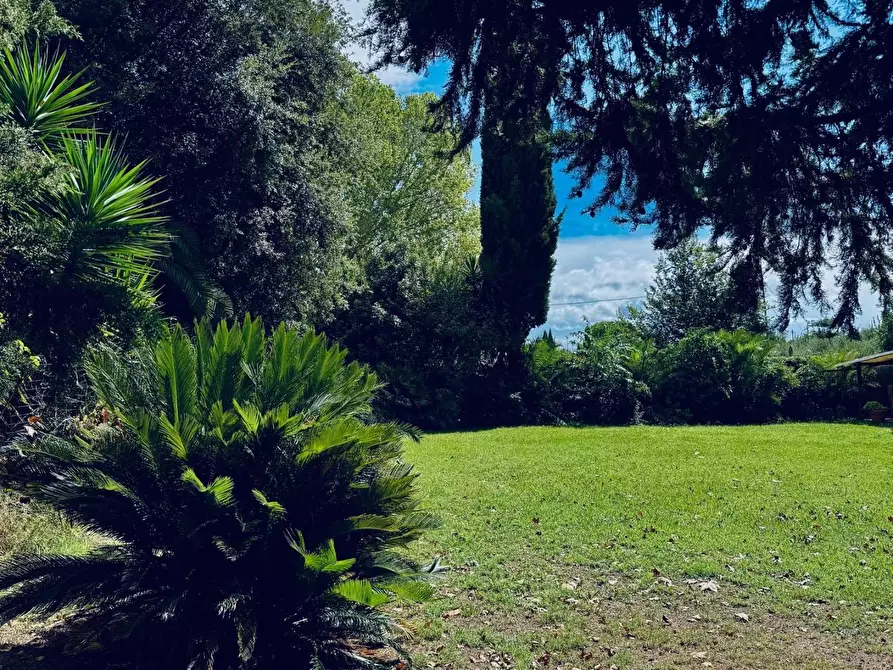 Immagine 3 di Appartamento in vendita  a Cascina