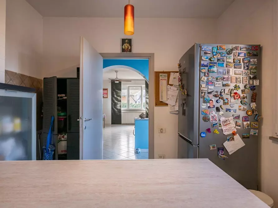 Immagine 12 di Appartamento in vendita  a Pontedera