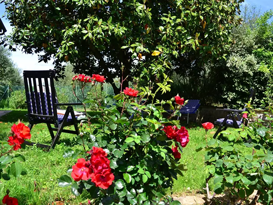 Immagine 6 di Villa in vendita  a Siena