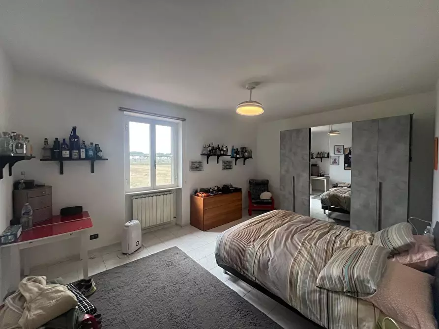 Immagine 16 di Terratetto in vendita  a Vecchiano