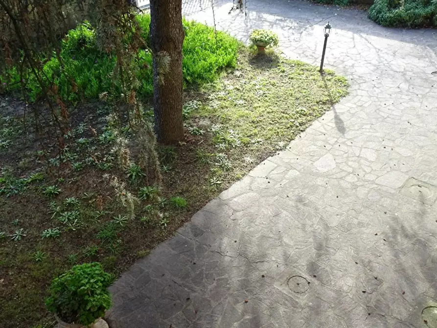 Immagine 2 di Villa in vendita  a Cascina