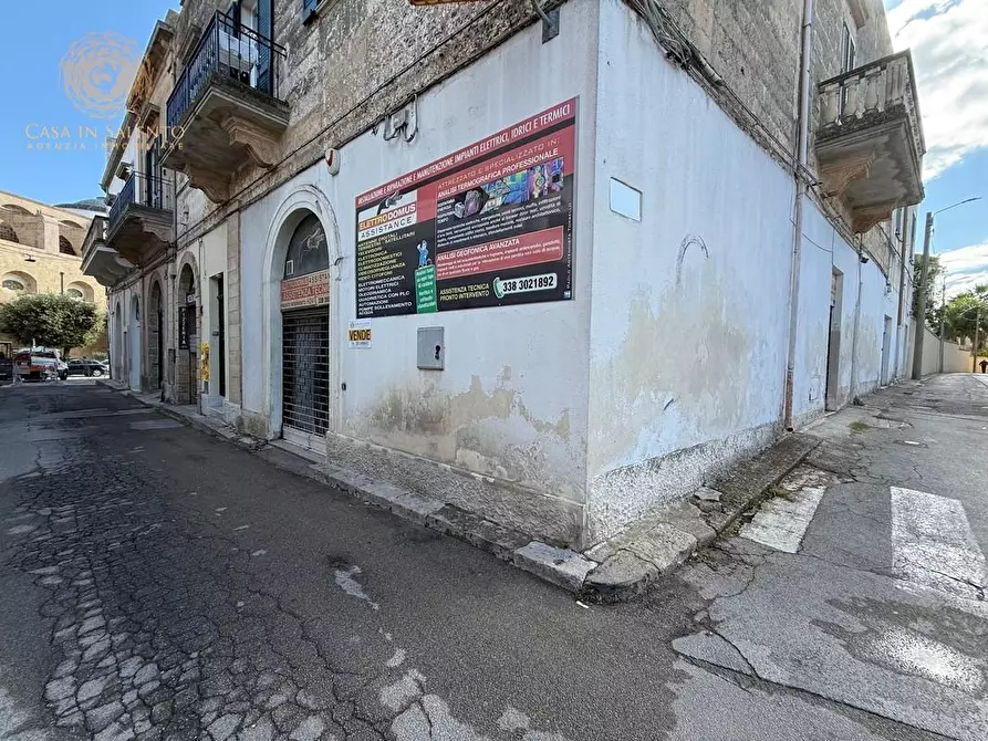 Immagine 3 di Locale commerciale in vendita  a Alessano