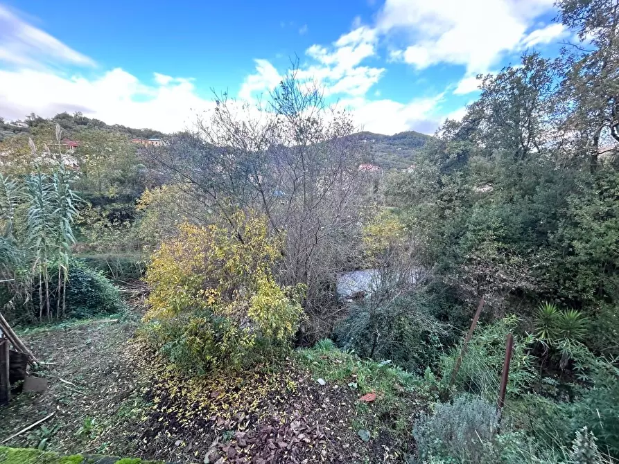 Immagine 27 di Villa in vendita  a Ortonovo