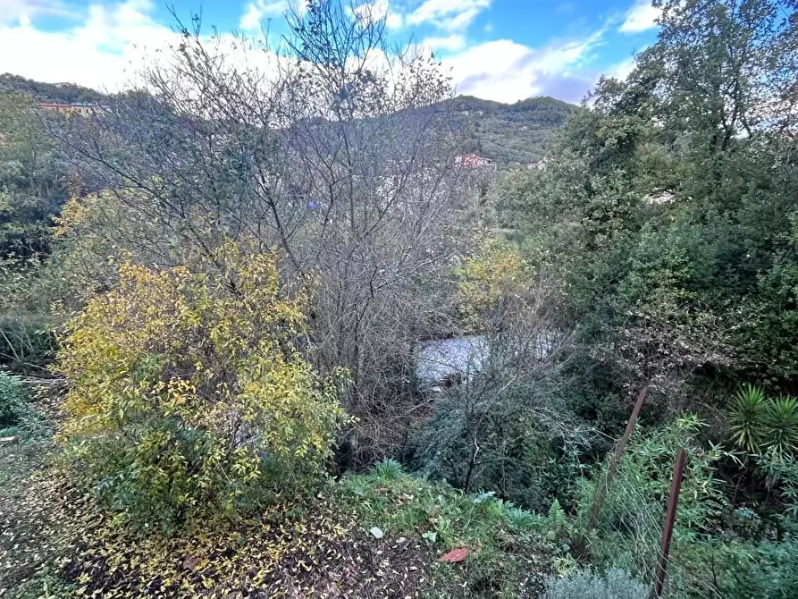 Immagine 28 di Villa in vendita  a Ortonovo