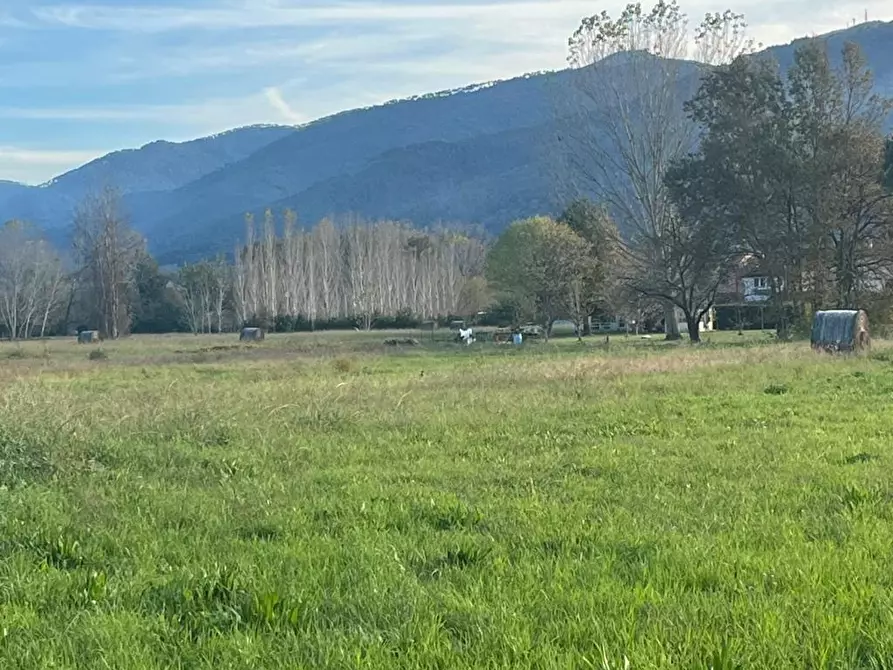 Immagine 2 di Villetta a schiera in vendita  a Capannori