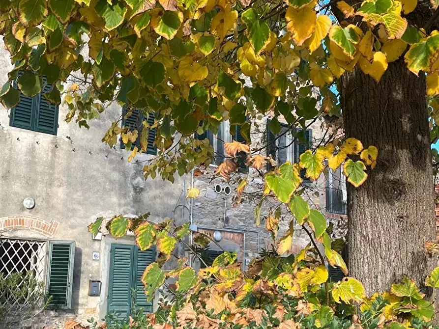 Immagine 1 di Villetta a schiera in vendita  a Capannori