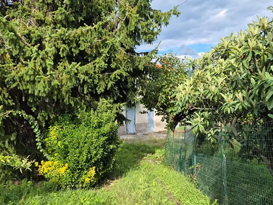Immagine 2 di Casa indipendente in vendita  a Capannori