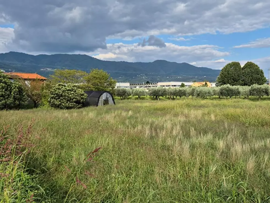 Immagine 4 di Casa indipendente in vendita  a Capannori