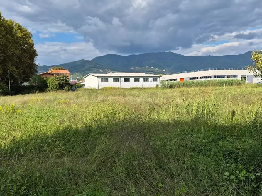 Immagine 3 di Casa indipendente in vendita  a Capannori