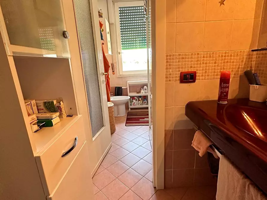 Immagine 13 di Appartamento in vendita  a Campiglia Marittima